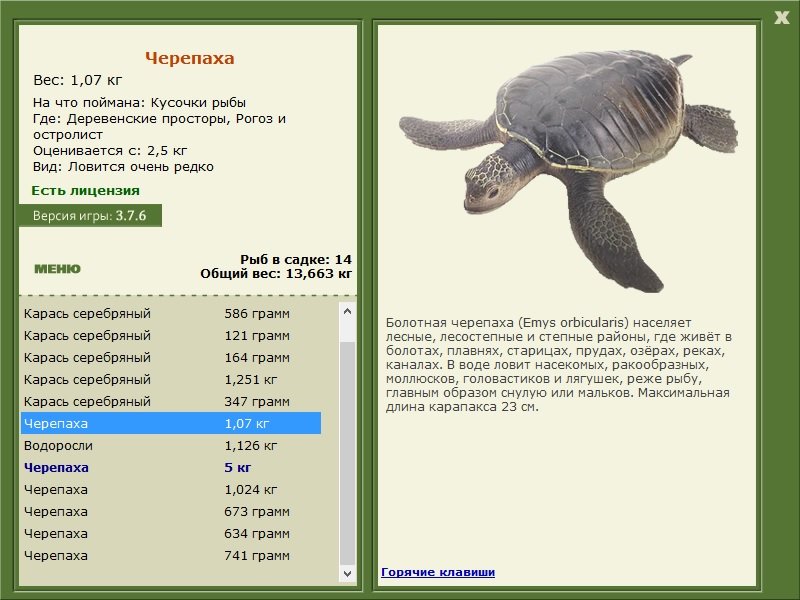 турниры • РУССКАЯ РЫБАЛКА