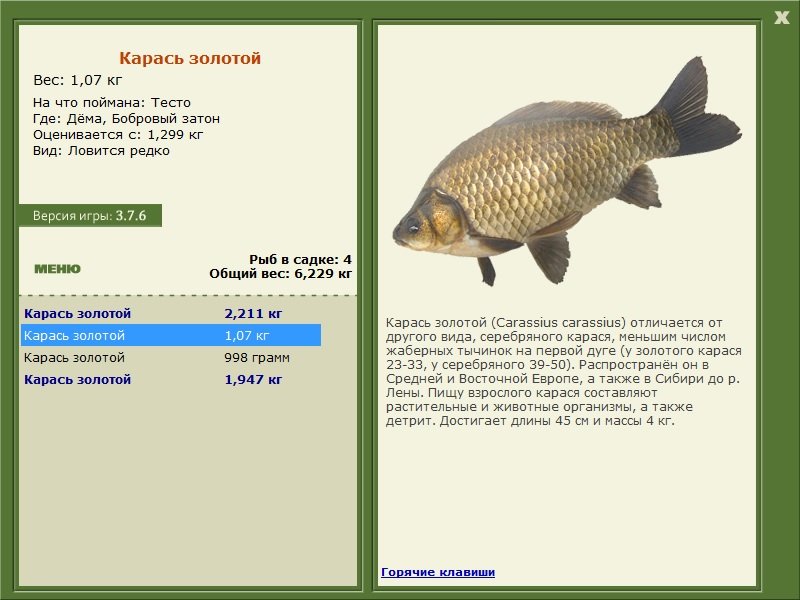 турниры • РУССКАЯ РЫБАЛКА