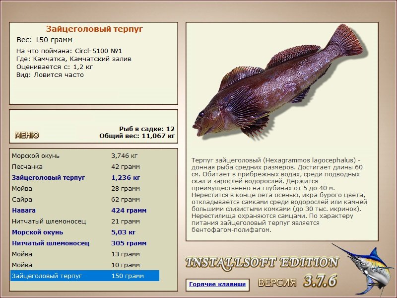 Камчатский залив 