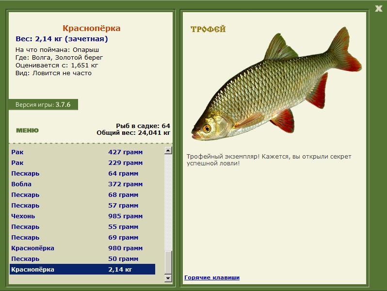 Краснопёрка 