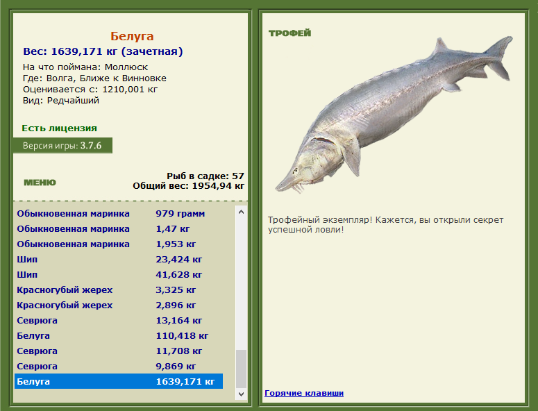 РУССКАЯ РЫБАЛКА Installsoft Edition 