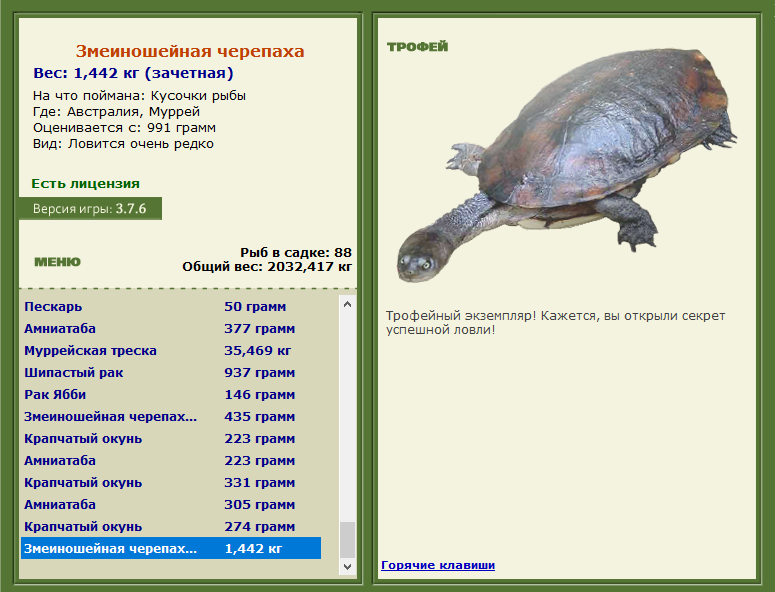 Муррей 