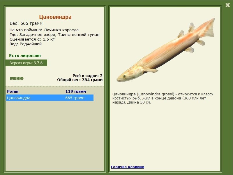 Таинственный туман 