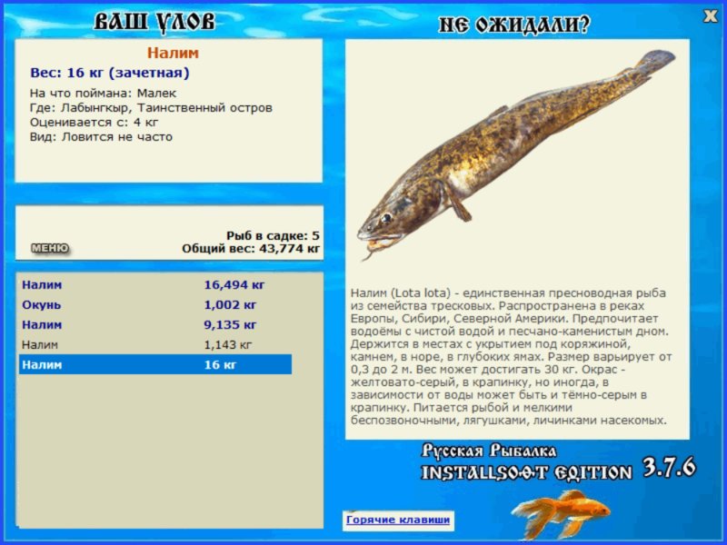 турниры • РУССКАЯ РЫБАЛКА
