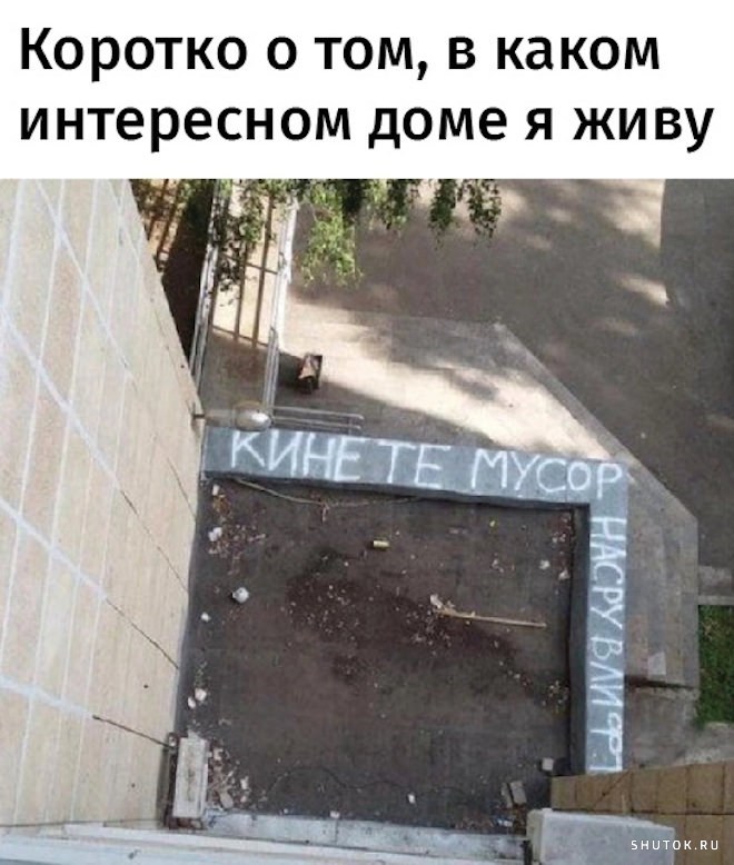 Юмор