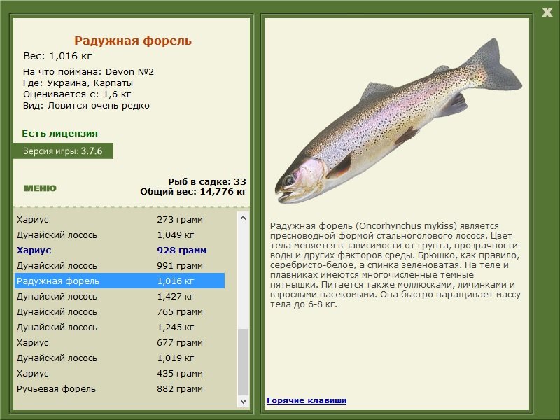 турниры • РУССКАЯ РЫБАЛКА