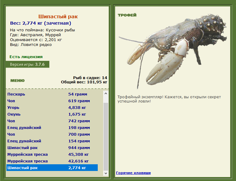 Муррей 