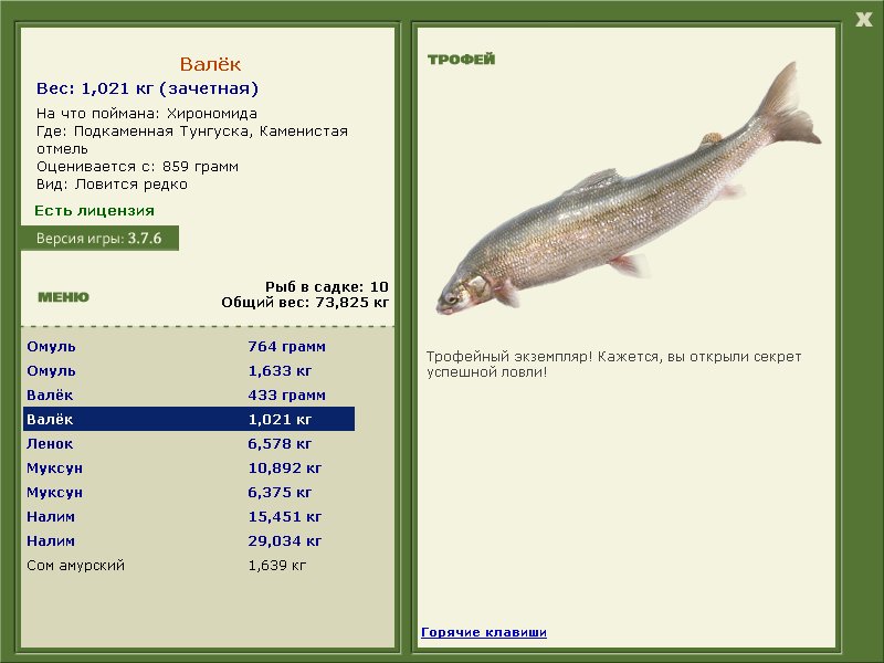 Валёк 