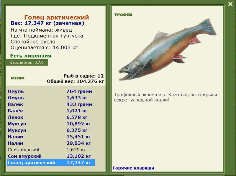 Спокойное русло 