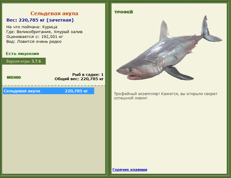 турниры • РУССКАЯ РЫБАЛКА