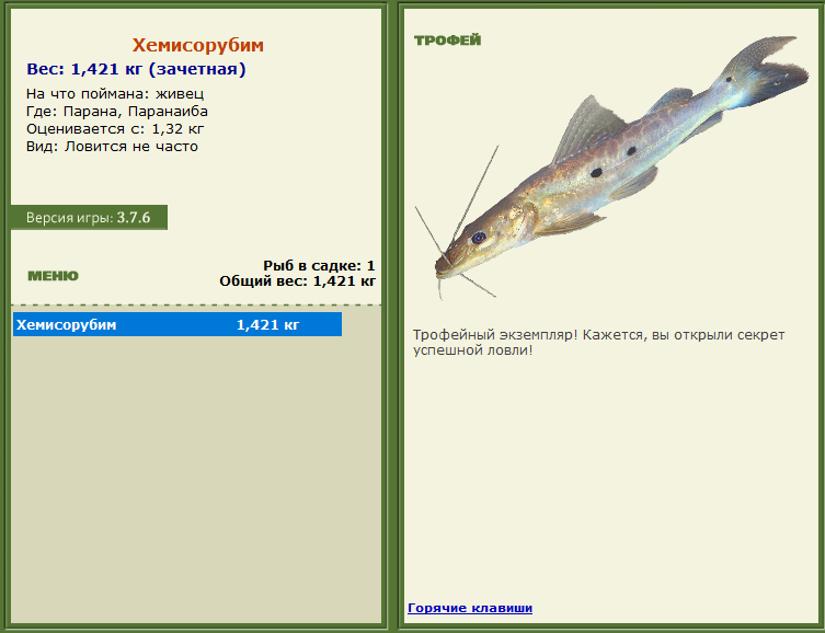 турниры • РУССКАЯ РЫБАЛКА
