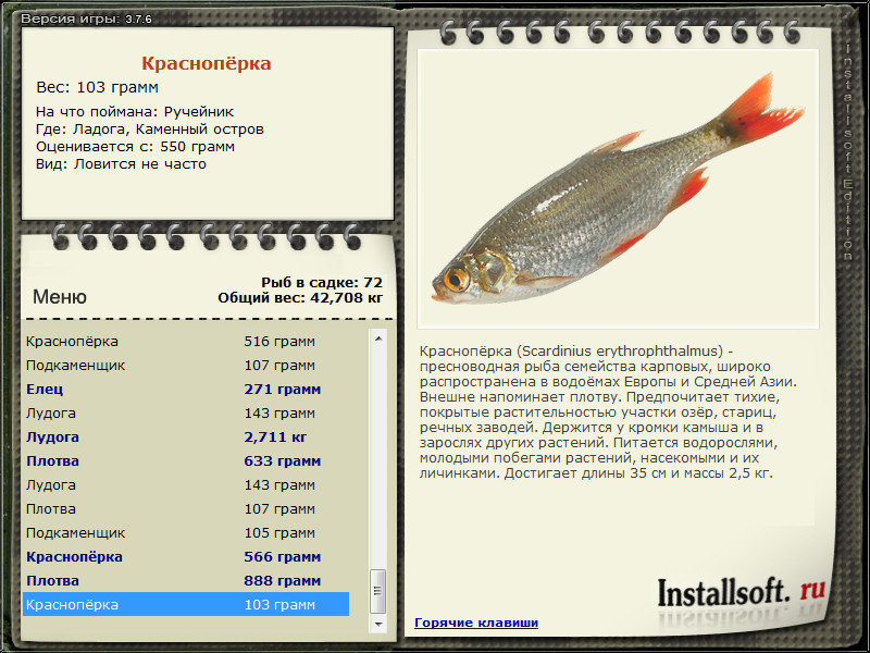 турниры • РУССКАЯ РЫБАЛКА