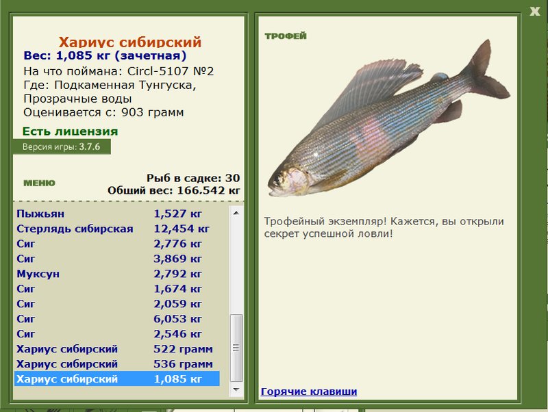 Прозрачные воды 