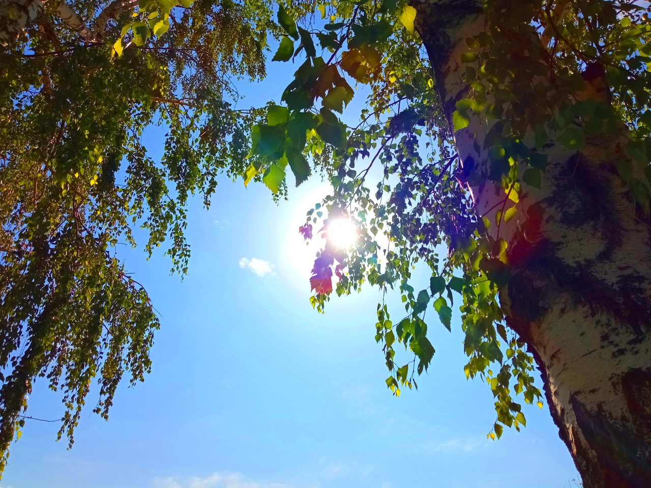  Редактировать сообщение