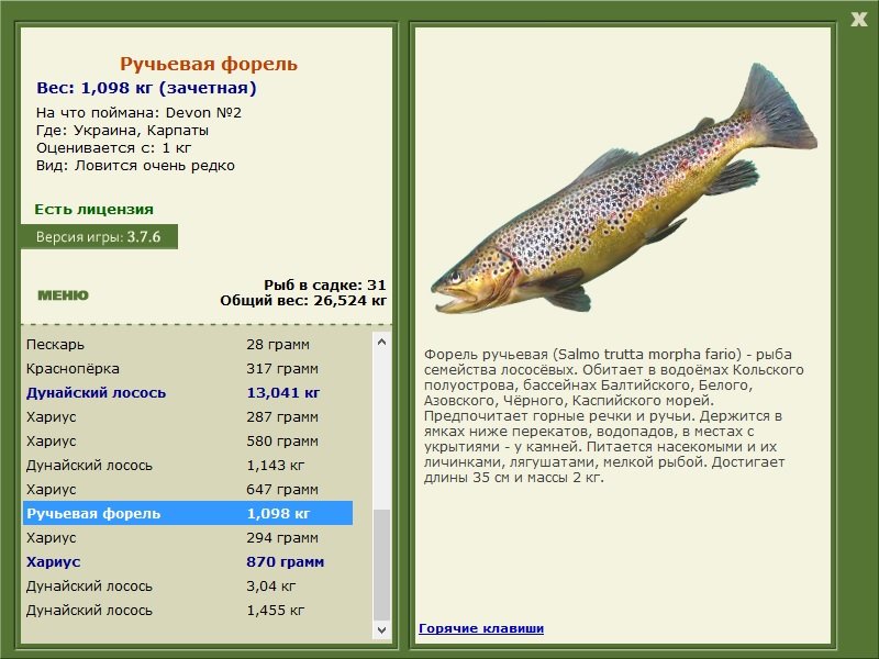 турниры • РУССКАЯ РЫБАЛКА