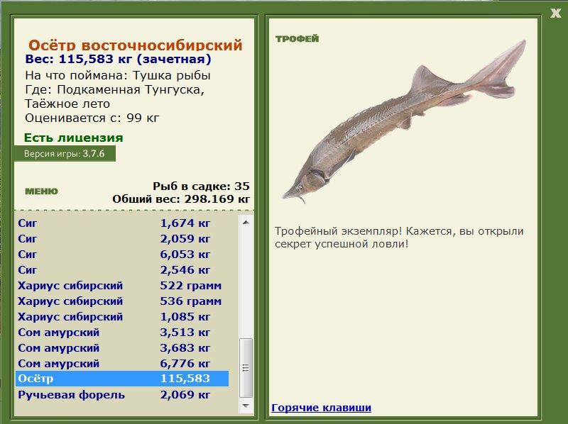 Таёжное лето 