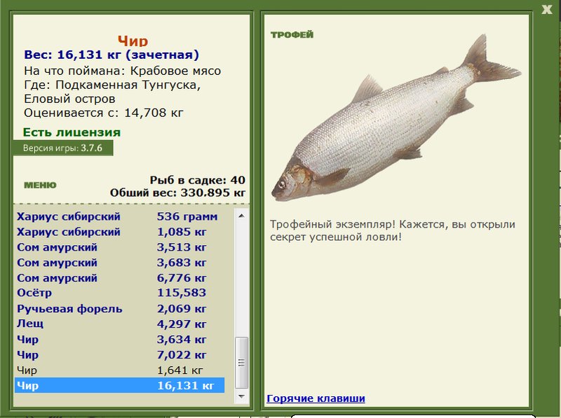 Еловый остров 