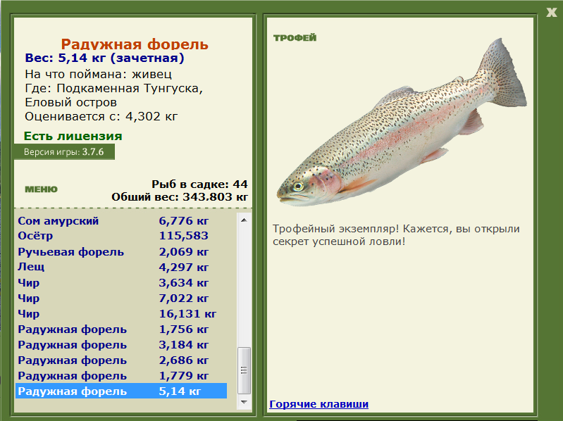 Еловый остров 