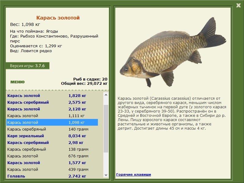 турниры • РУССКАЯ РЫБАЛКА