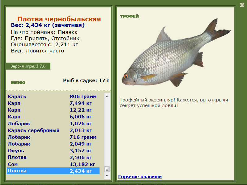 Плотва чернобыльская 