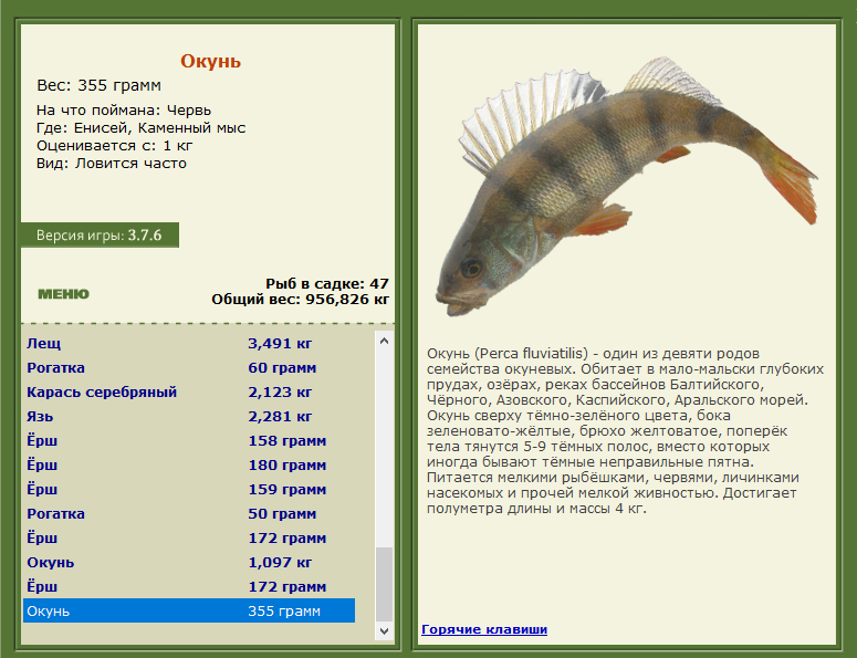 РУССКАЯ РЫБАЛКА Installsoft Edition 