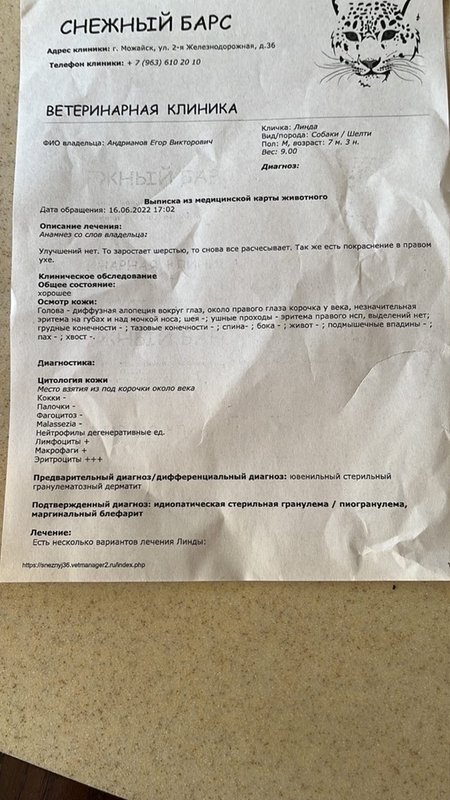Изображение