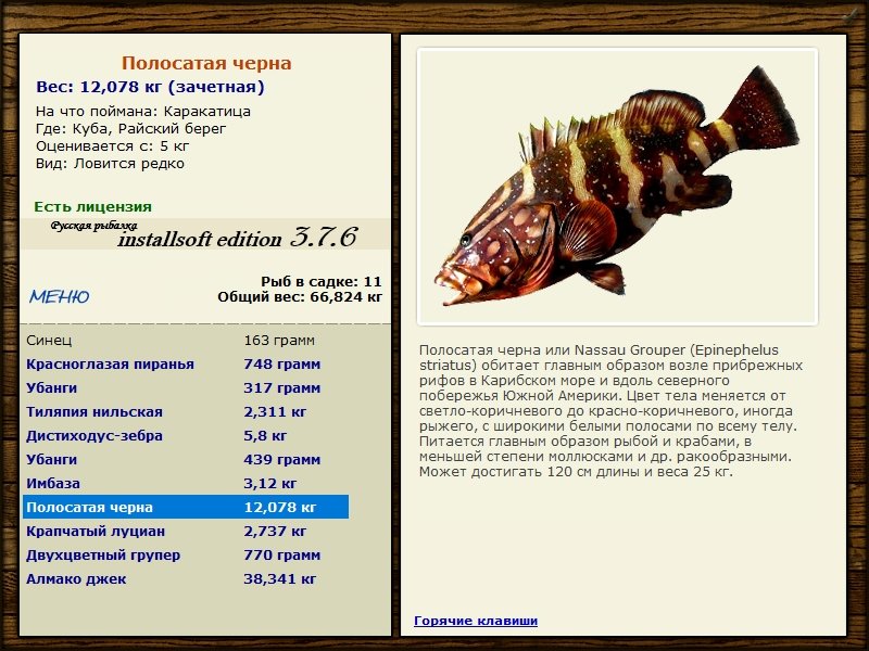 Райский берег 