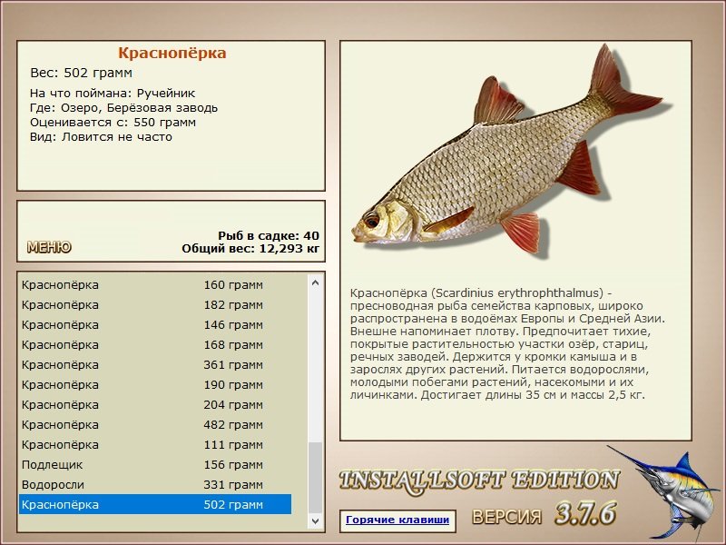 Берёзовая заводь 