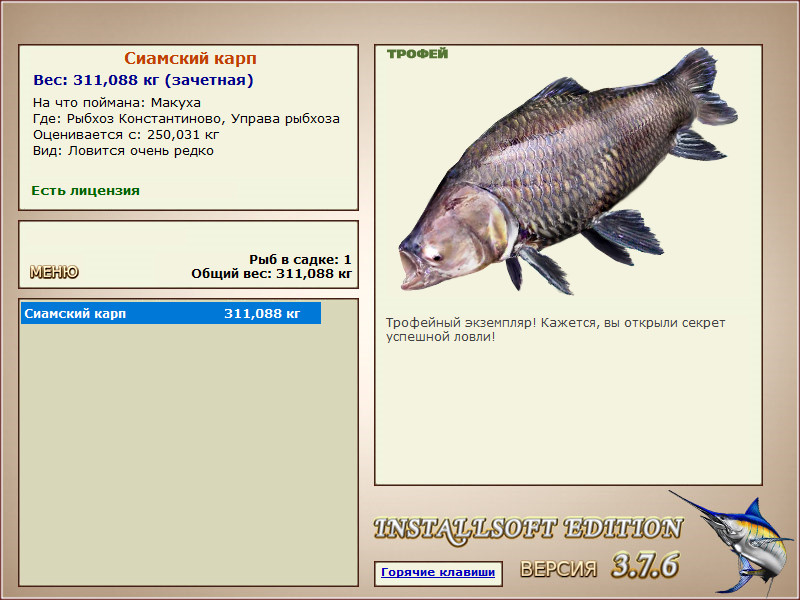 Сиамский карп 