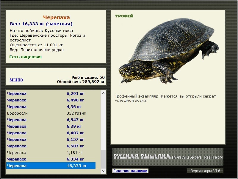 Черепаха 