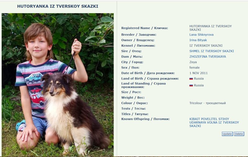 Изображение