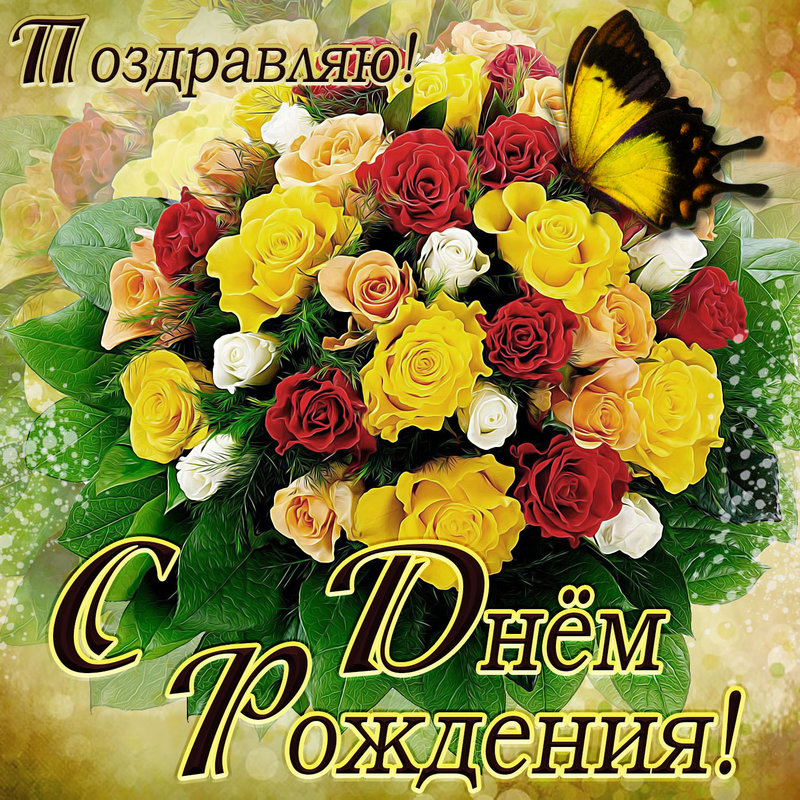 ПОЗДРАВЛЯЕМ ЕНОТИКА!