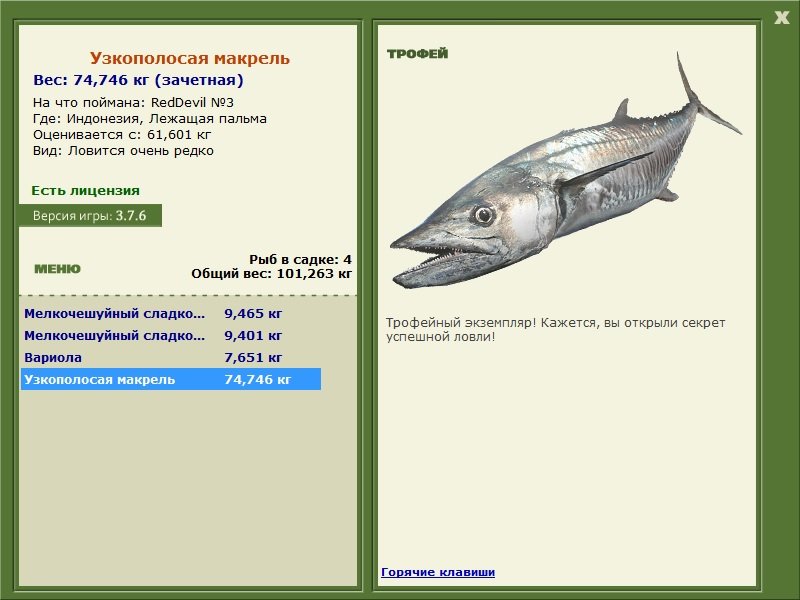 Бородатый воббегонг 