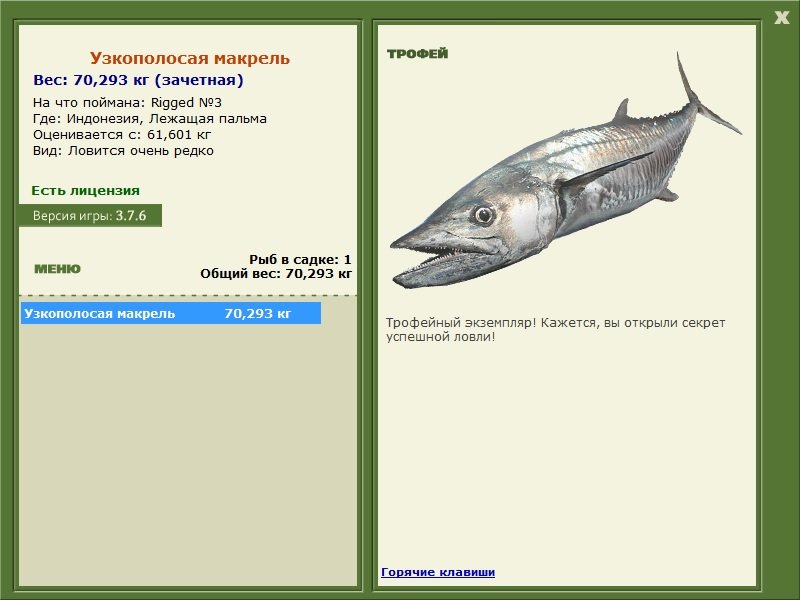 Бородатый воббегонг 