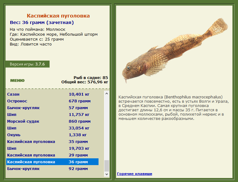 РУССКАЯ РЫБАЛКА Installsoft Edition 
