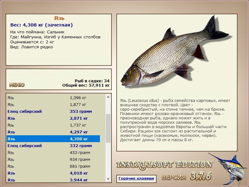 Изгиб у Каменных столбов 