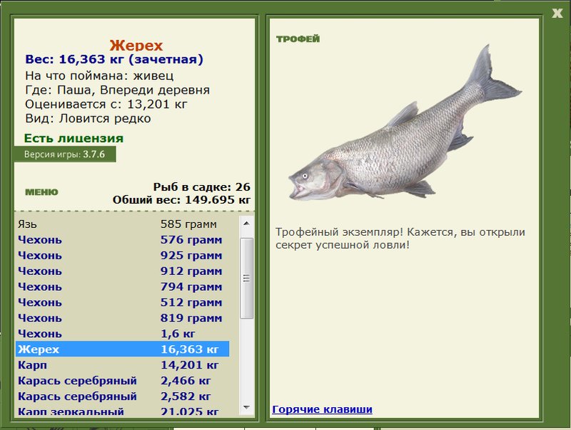 Жерех 