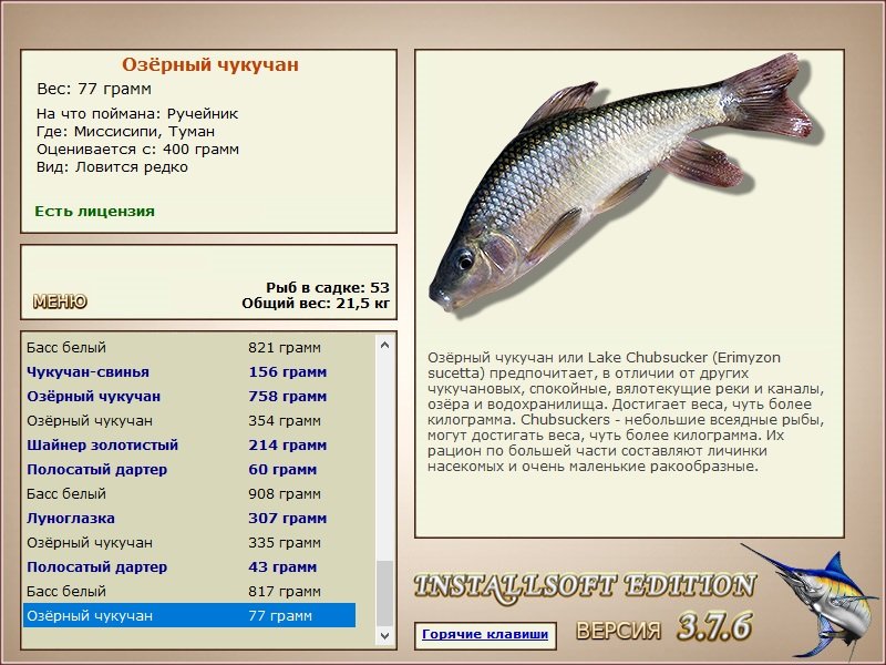 Туман 
