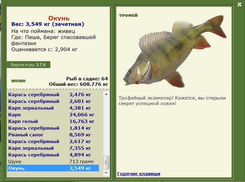 Берег спасовавшей фантазии 