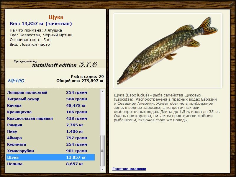 Чёрный Иртыш 