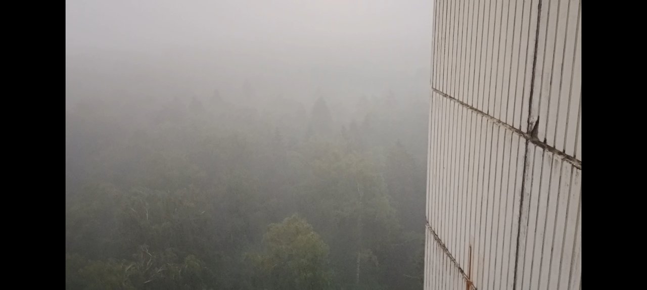 Погода в вашем городе