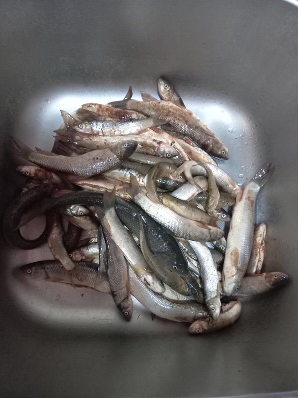  Страница 27 - Alensat