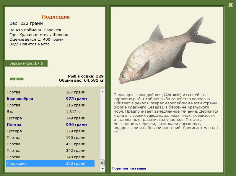 турниры • РУССКАЯ РЫБАЛКА