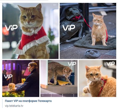  Просмотр темы - Анонс от Телекартa и Что Посмотреть