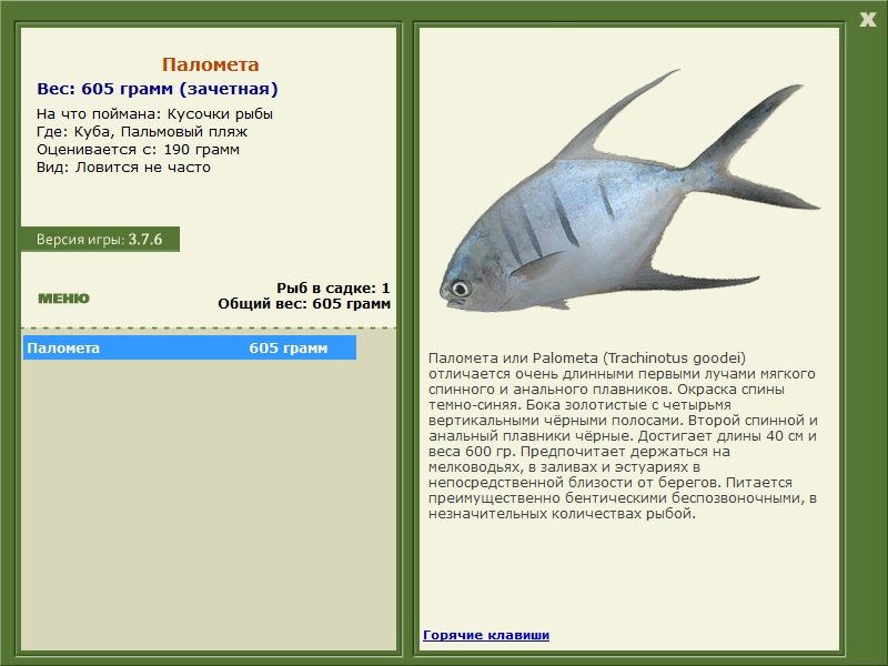 Пальмовый пляж 