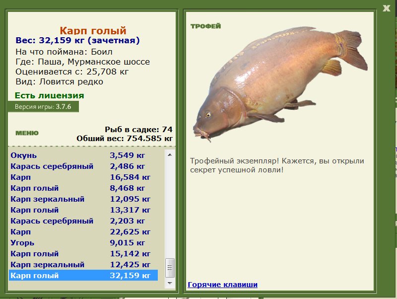Карп голый 