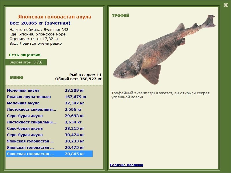 Японское море 