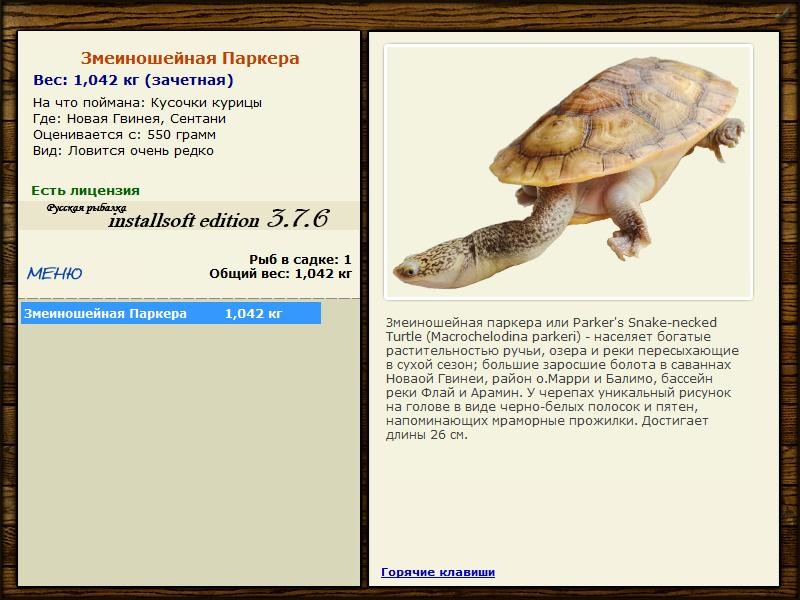 Сентани 