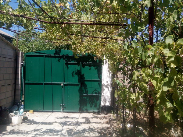 Наш сад и огород