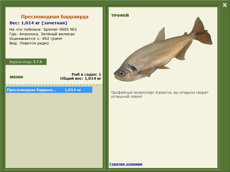 Пресноводная барракуда 